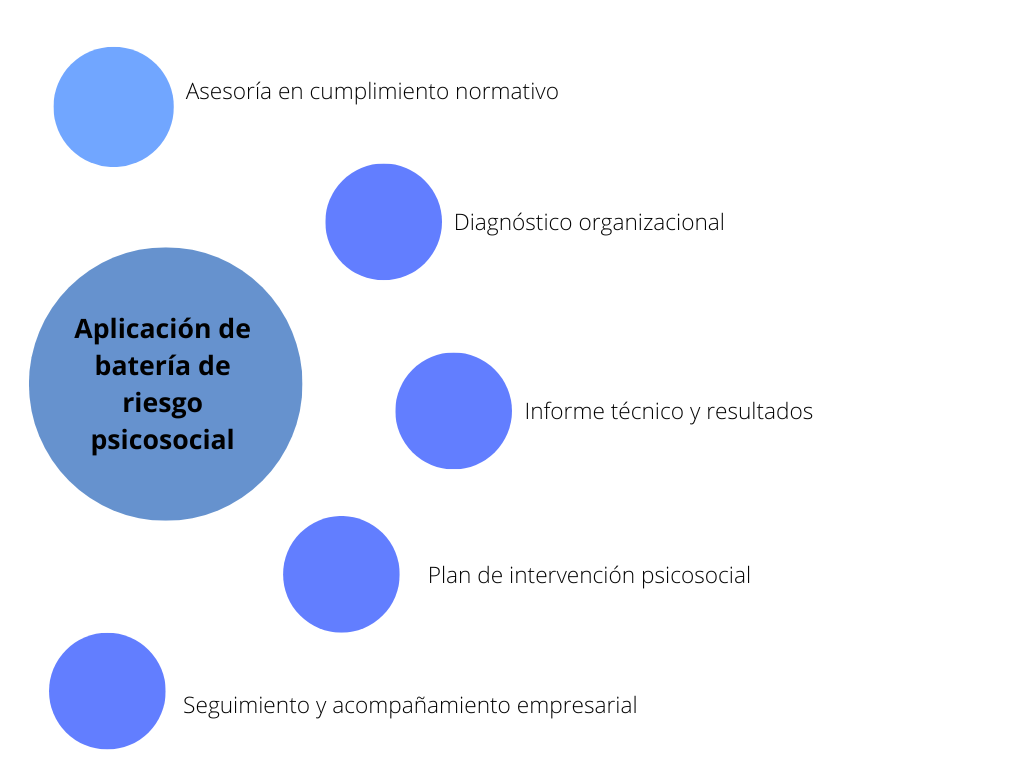 gráfico círculos informativo fondo blanco